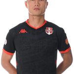 Nguyễn Đình Triệu